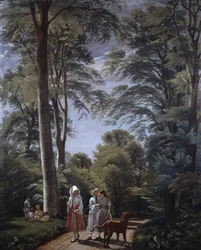 Bosco di faggi a maggio